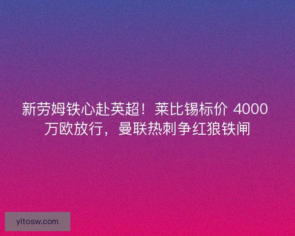 新劳姆铁心赴英超！莱比锡标价 4000 万欧放行，曼联热刺争红狼铁闸