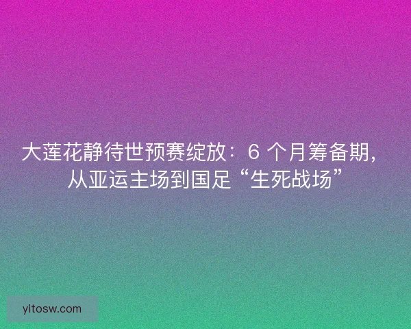 大莲花静待世预赛绽放：6 个月筹备期，从亚运主场到国足 “生死战场”