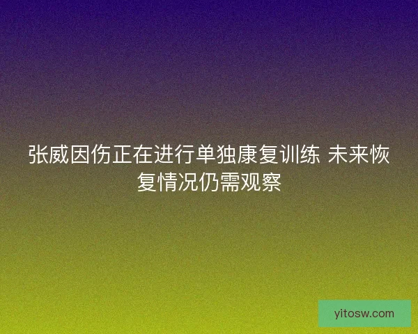 张威因伤正在进行单独康复训练 未来恢复情况仍需观察